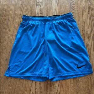 Nike Men's Blue Athletic Shorts
